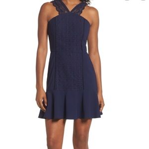 Greylin Mila Lace Fit & Flare Dress